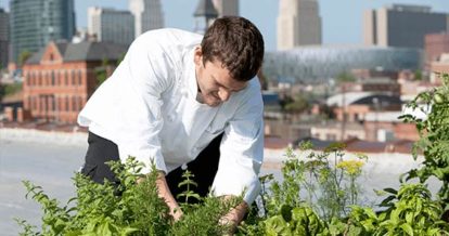 A chef harvesting from his garden