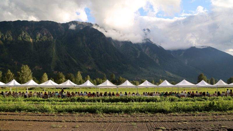 Long row of tented dining tables set outside with mountains in the distance.