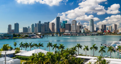 Miami downtown skyline during the day with green palm trees and buildings.